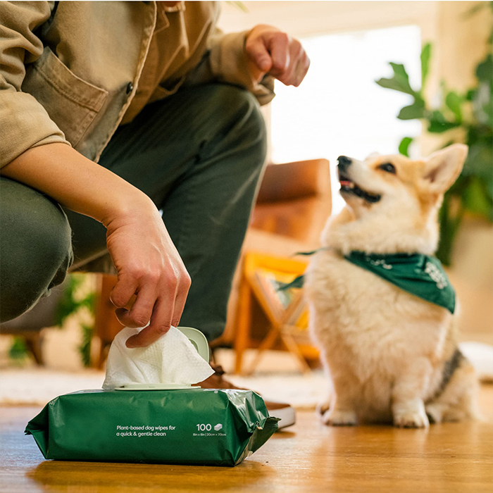 Pet Wet Wipes -käyttöopas: Toiminnot, valinta ja varotoimenpiteet